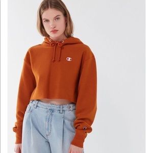 Champion Reverse Wave cropped hoodie